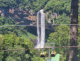 /album/fotogaleria-brazilia-zajazd-vy-a-my/brazilia-zajazd-68-jpg/